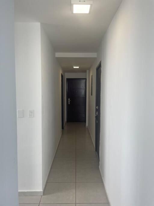 דירות פנמה סיטי Hermoso Apartamento Con Una De Las Mejores Vistas מראה חיצוני תמונה
